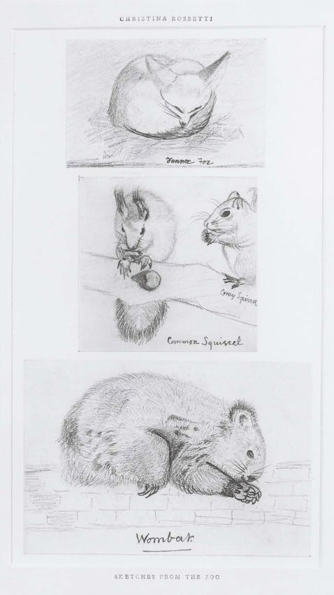 christina rossetti wombat