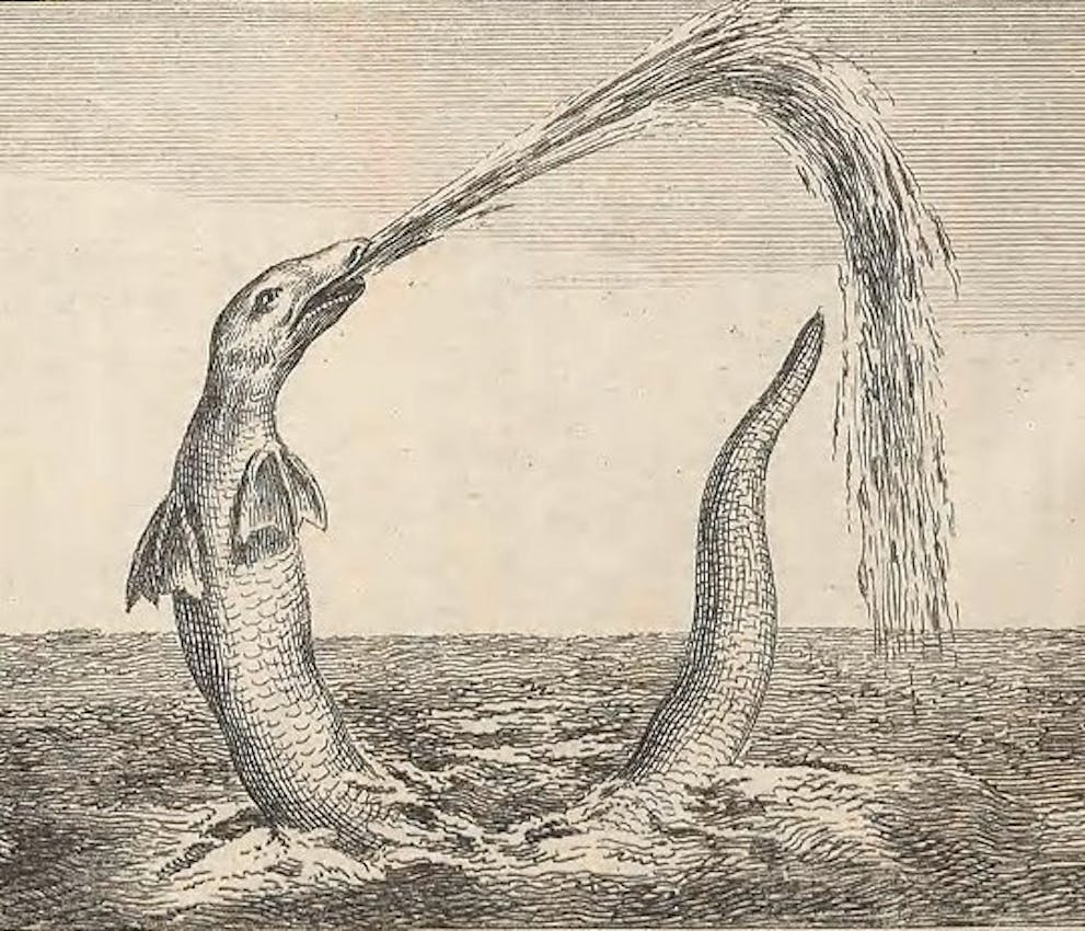 sea serpent