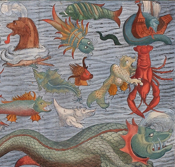 Olaus Magnus’ Sea Serpent
