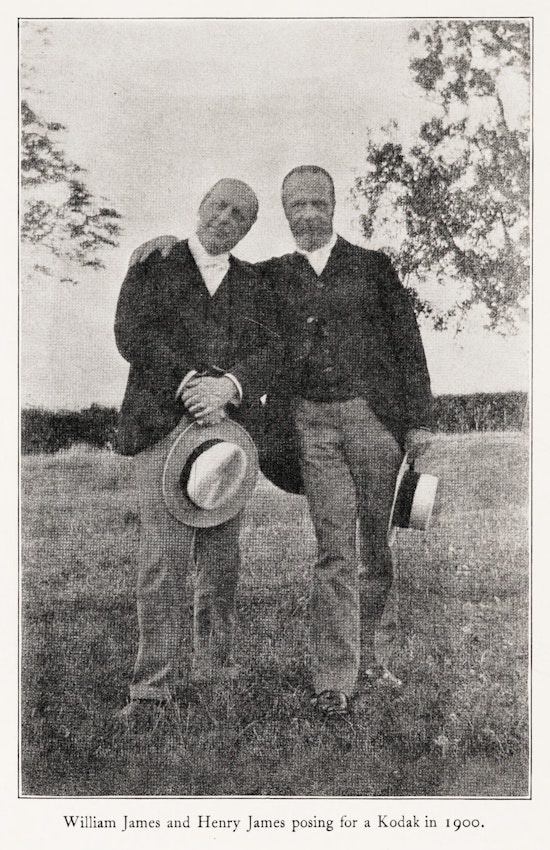 Henry James poses with arm around William James standing next to each other in a field
