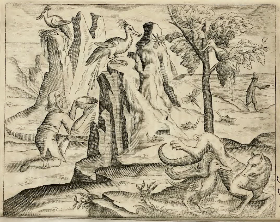 illustration from Justus Fidus Klobius’s Ambræ historiam