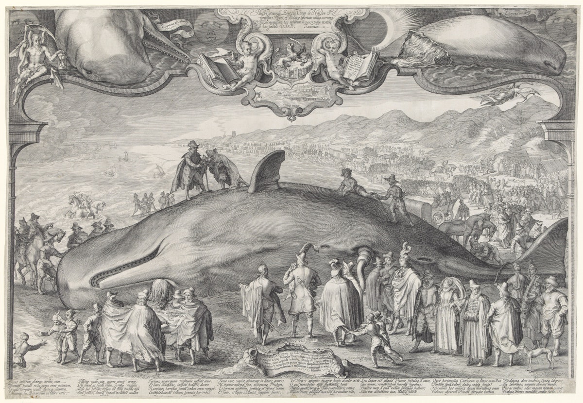 Jan Saenredam print of a beached whale