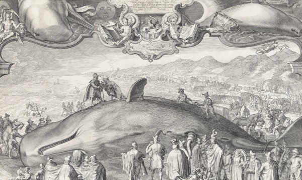 Picturing Scent: The Tale of a Beached Whale
