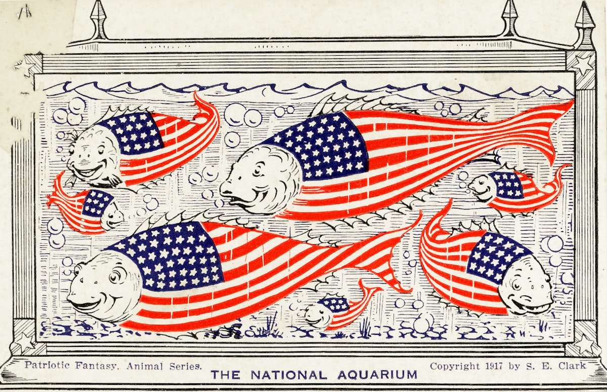 the national aquarium of patriotic fish