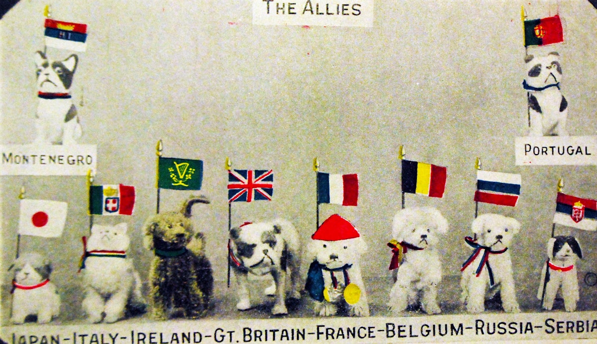 allies as puppies postcard