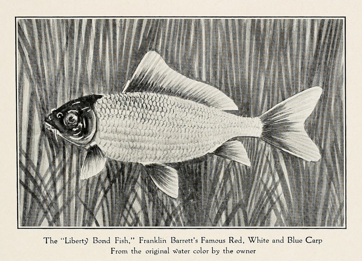 Franklin Barrett’s red, white, and blue Liberty Bond Fish