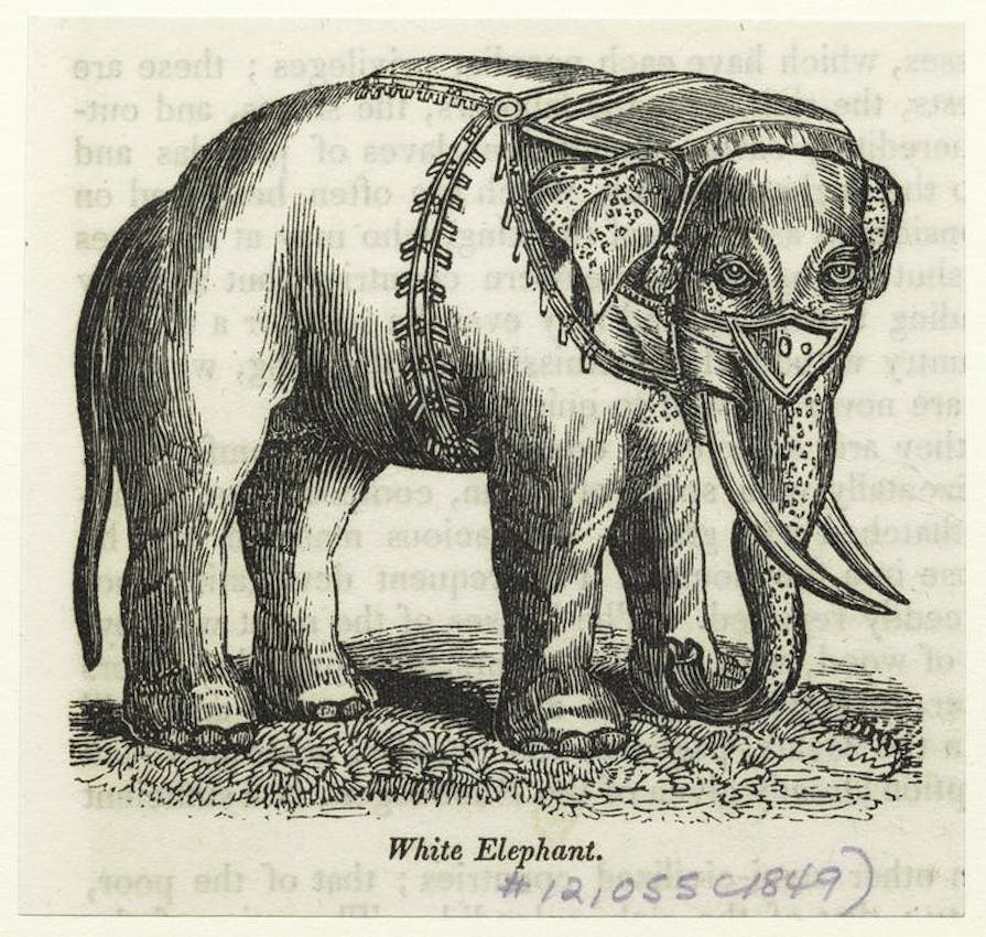 white elephant