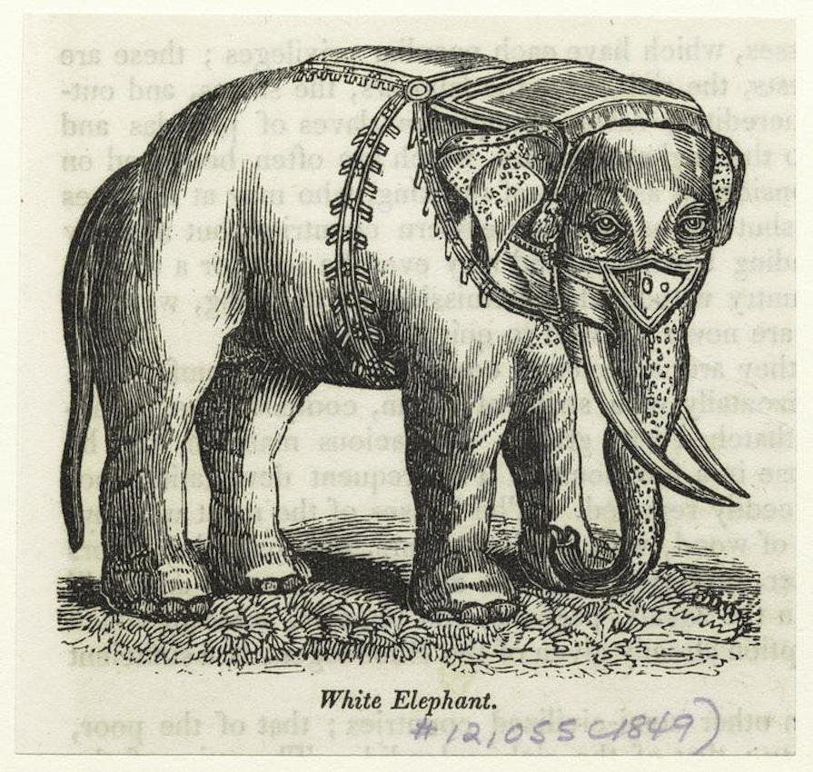 The saying 'A white elephant' - meaning and origin.