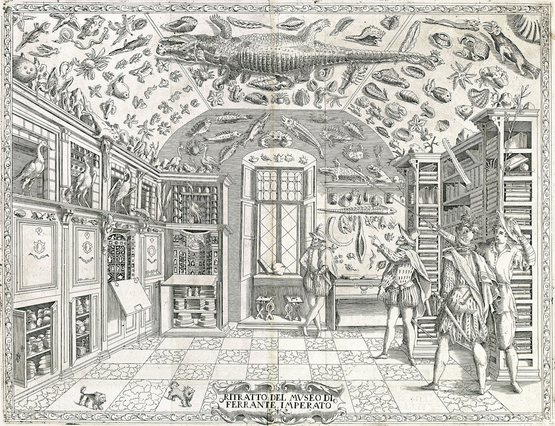 Four men in an ornate room decorated with biological specimens