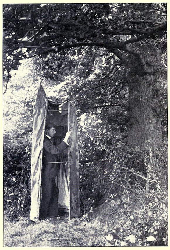 dummy tree kearton