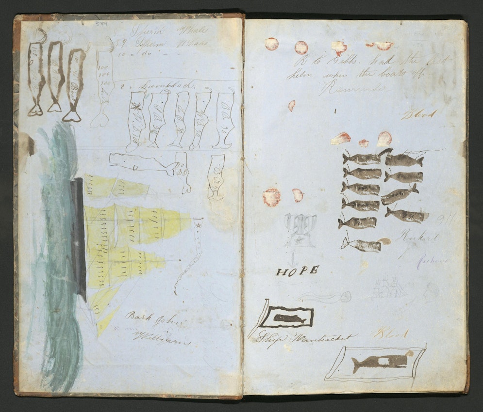 Whaling logbook illustration