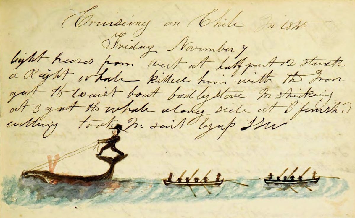 Whaling logbook illustration