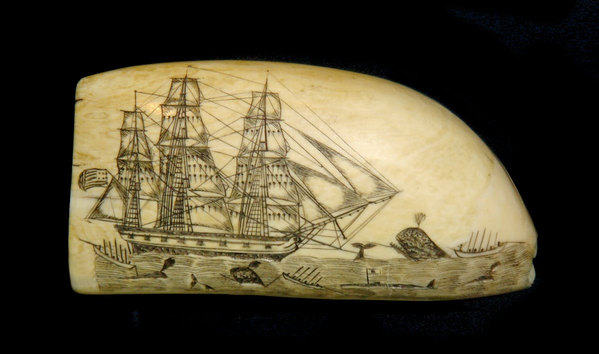 Scrimshaw