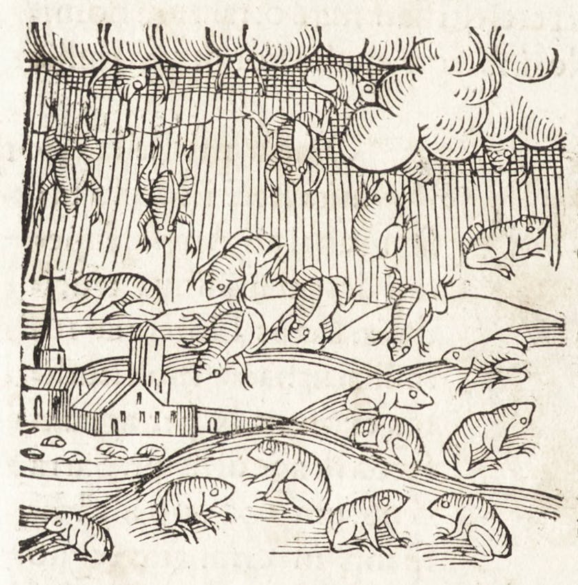 Medieval-style woodcut showing numerous frogs descending from a cloudy sky with hatched lines, over undulating hills where a church spire and simple buildings rest in the valley.