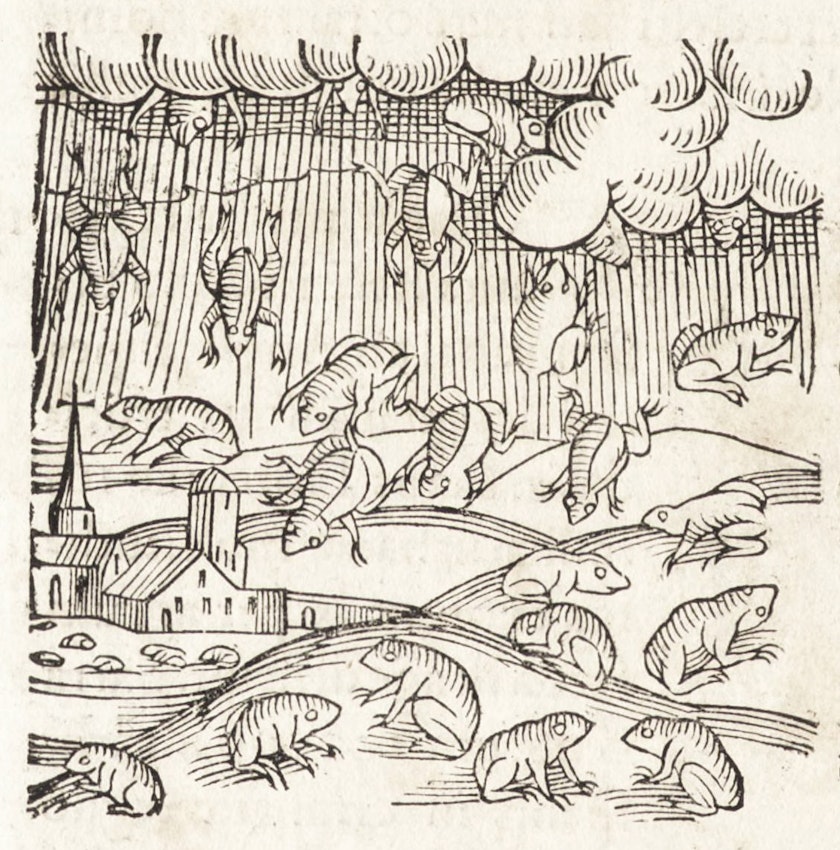 Medieval-style woodcut showing numerous frogs descending from a cloudy sky with hatched lines, over undulating hills where a church spire and simple buildings rest in the valley.