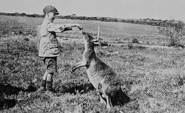 The Quirky, the Artful, and the Unexpected: Historic Photographs of Life in Australia