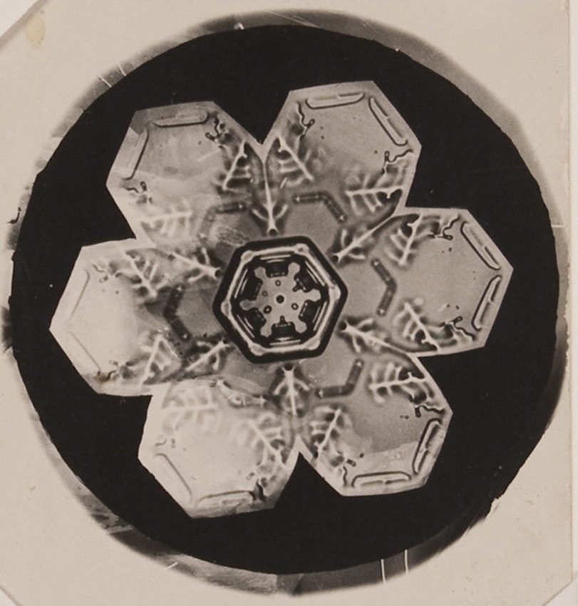 The Fascinating Science Behind Snowflake Formation, by Charles The  Scientist