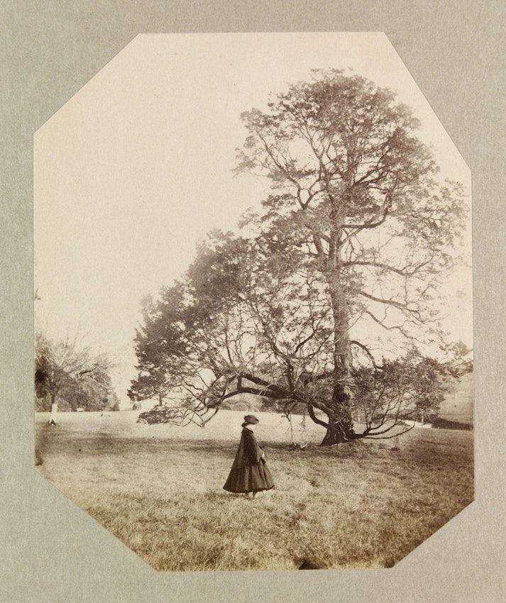 A sepia-toned vintage photograph with octagonal edges, featuring a lone woman in a long dress standing in a pastoral landscape, gazing at a large, sprawling tree. 