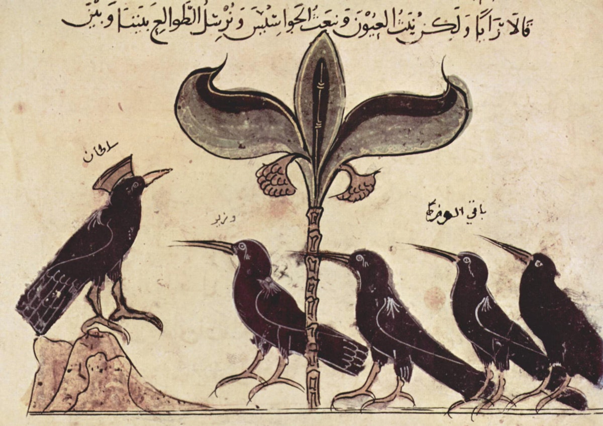 A murder of crows in conversation