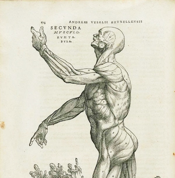 Vesalius and the Body Metaphor