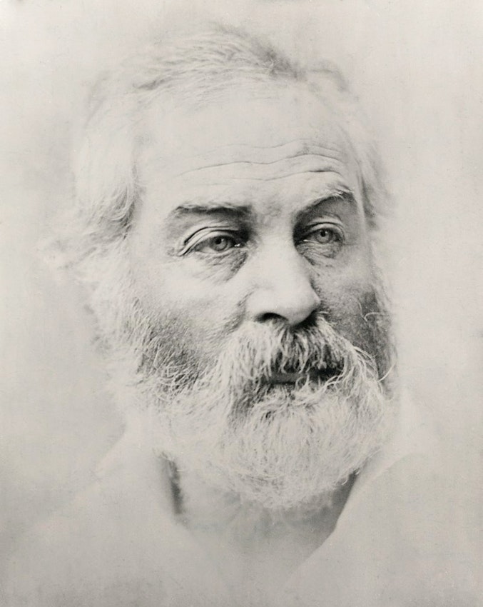 Walt Whitman by Alexander Gardner