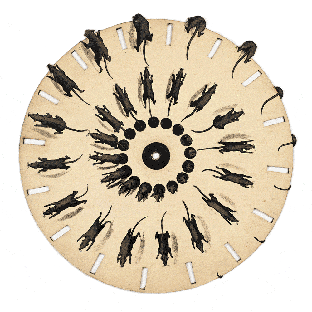 Animation of rats running outward on a spinning disk