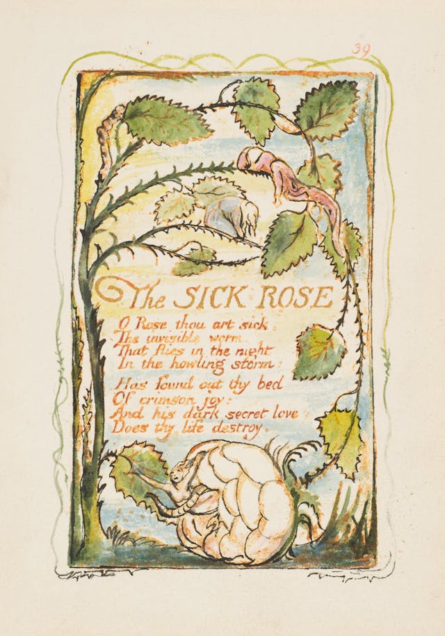 The Sick Rose