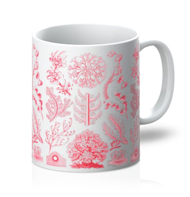 Haeckel Floridae Mug