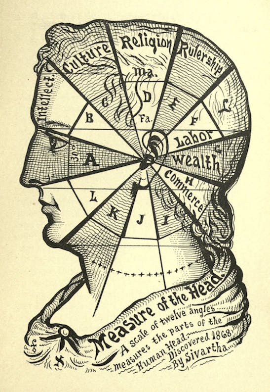 Measure of Man