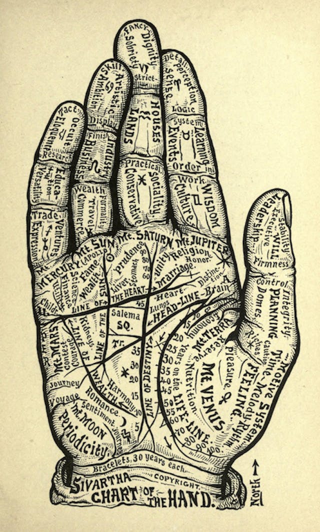 Chart of the Hand