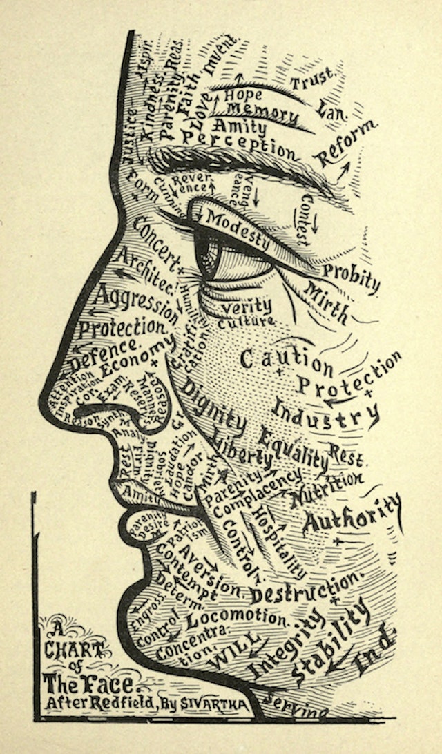 Chart of the Face