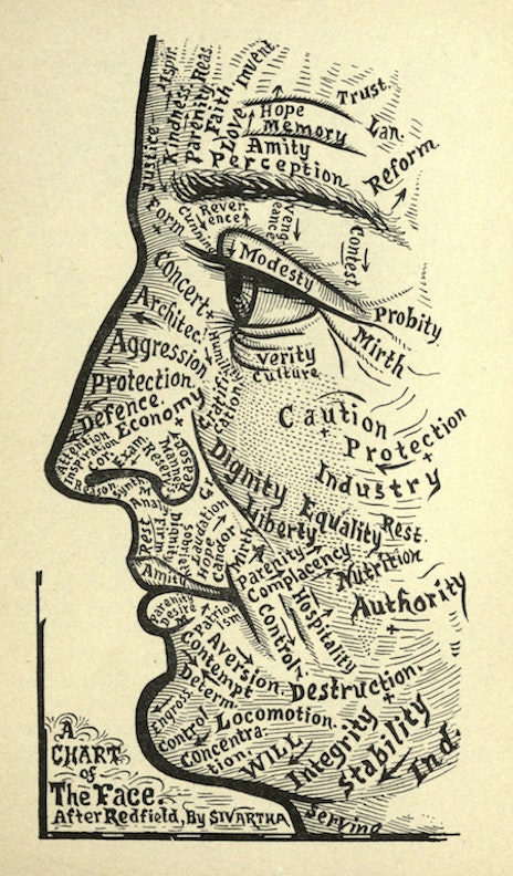 Chart of the Face