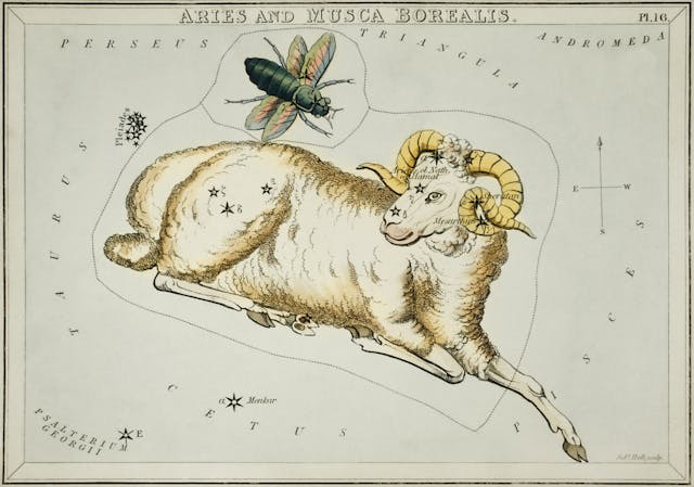 Aries and Musca Borealis