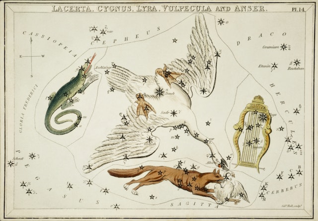 Lacerta, Cygnus, Lyra, Vulpecula and the Anser