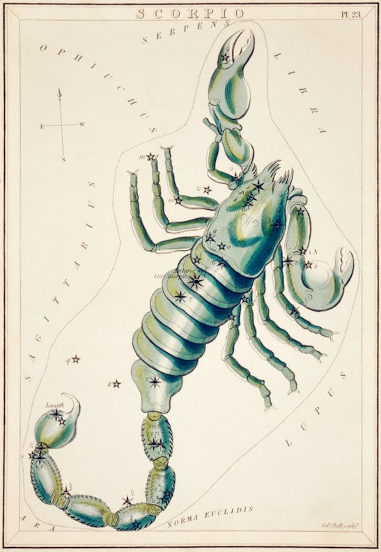 Scorpio