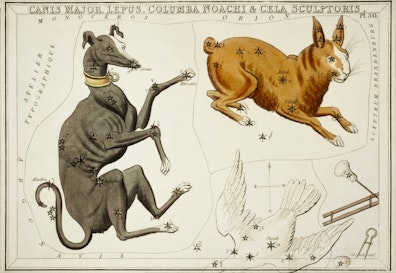 Canis Major, Lepus, Columba Noachi and the Cela Sculptoris