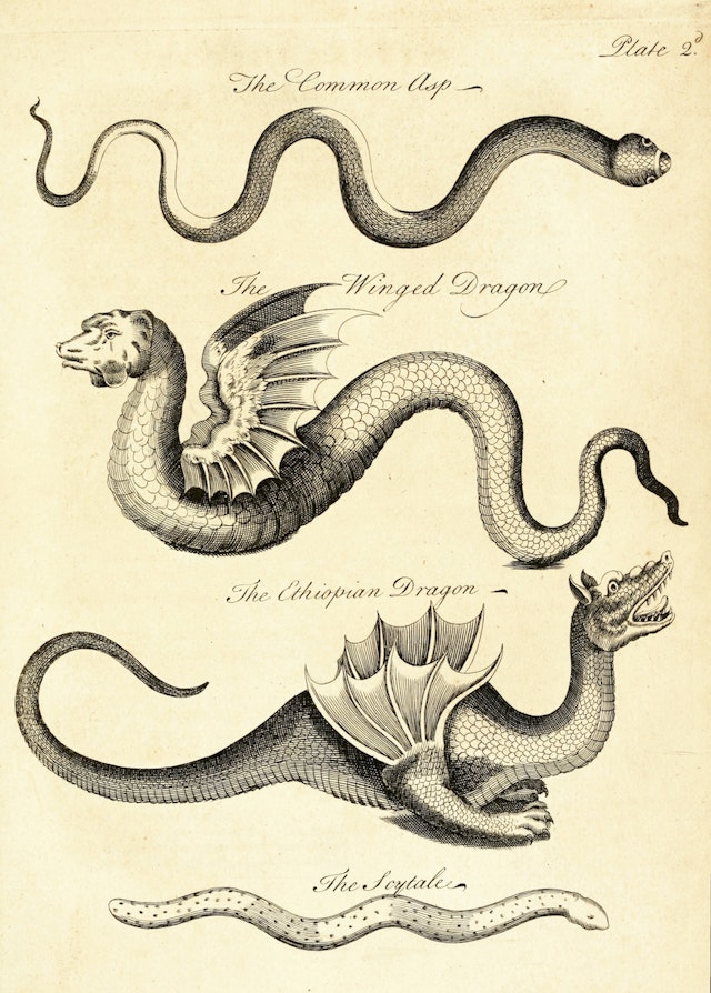 Essay Towards a Natural History of Serpents, Plate II