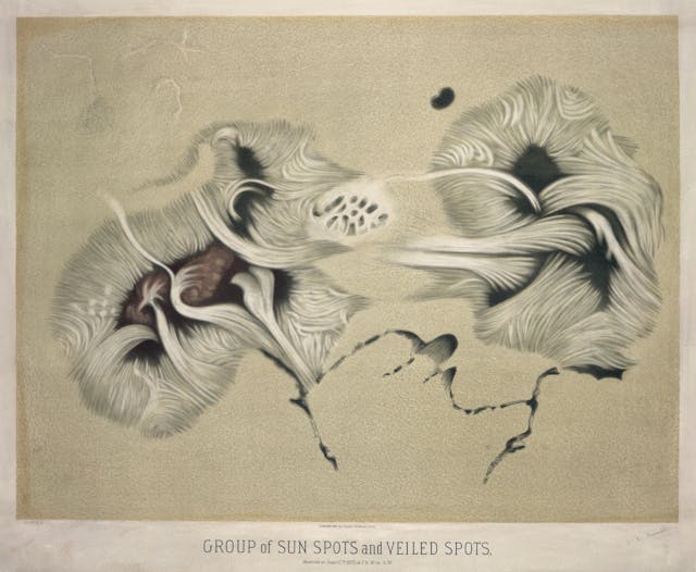 Group of Sunspots and Veiled Spots