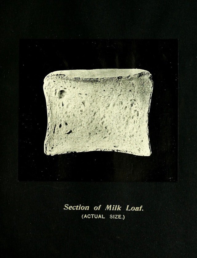Section of Milk Loaf