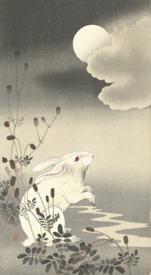 Full Moon with White Rabbit