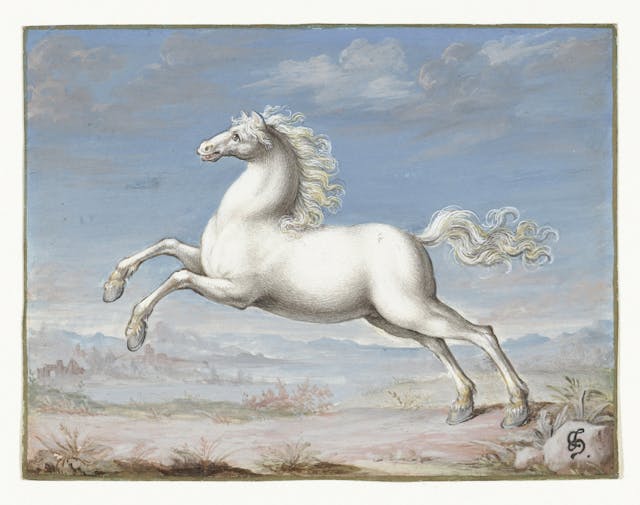 White Horse