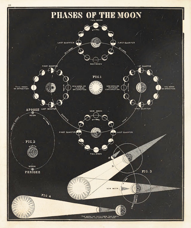 Phases of the Moon from *Smith's Illustrated Astronomy*