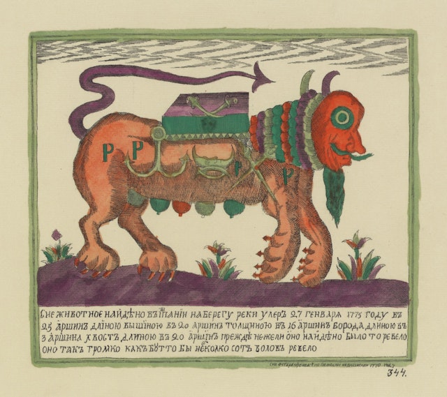An Animal Found in Spain, January 27th
1775