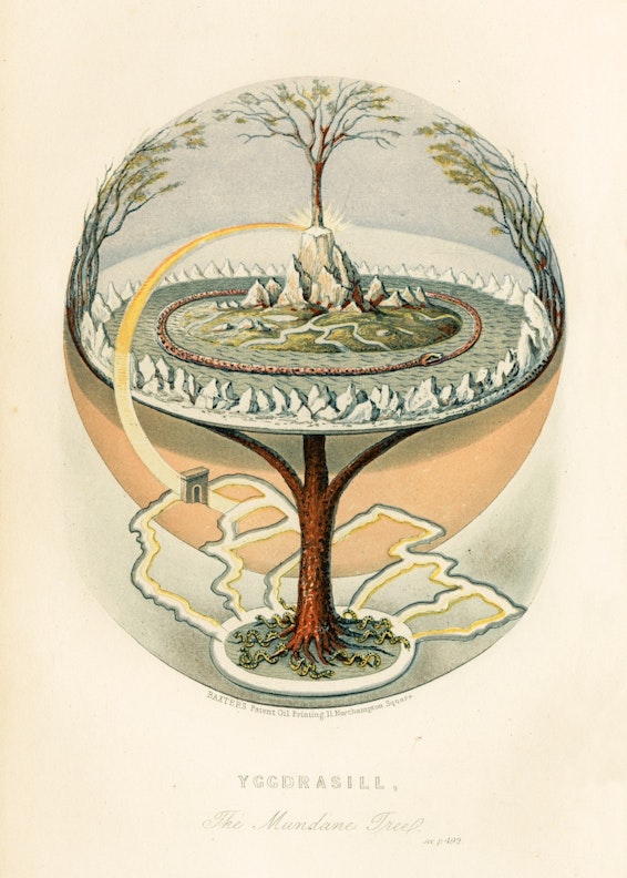 Yggdrasill: The Mundane Tree