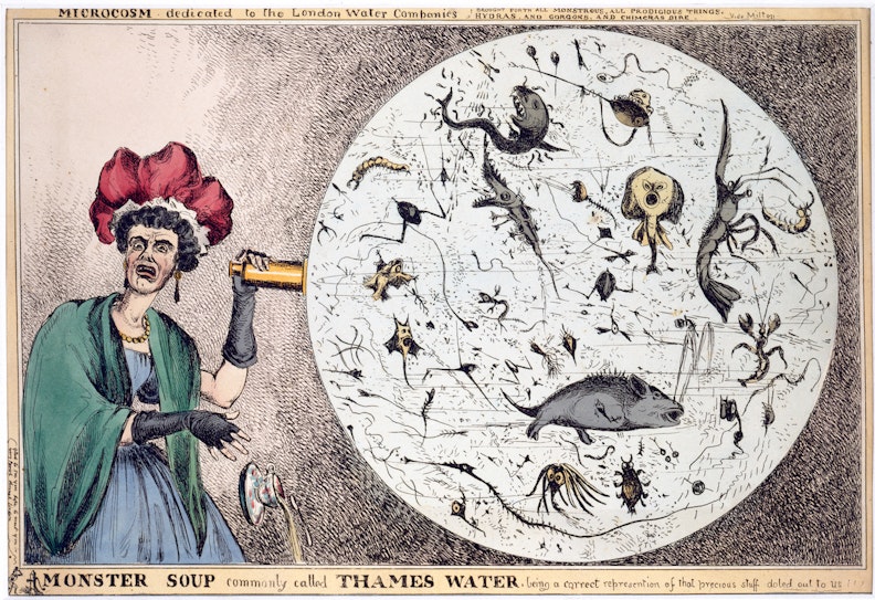 Monster Soup Commonly Called Thames water