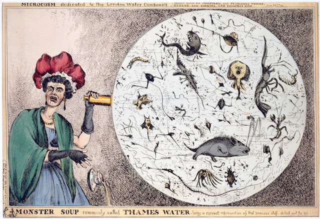 Monster Soup Commonly Called Thames water