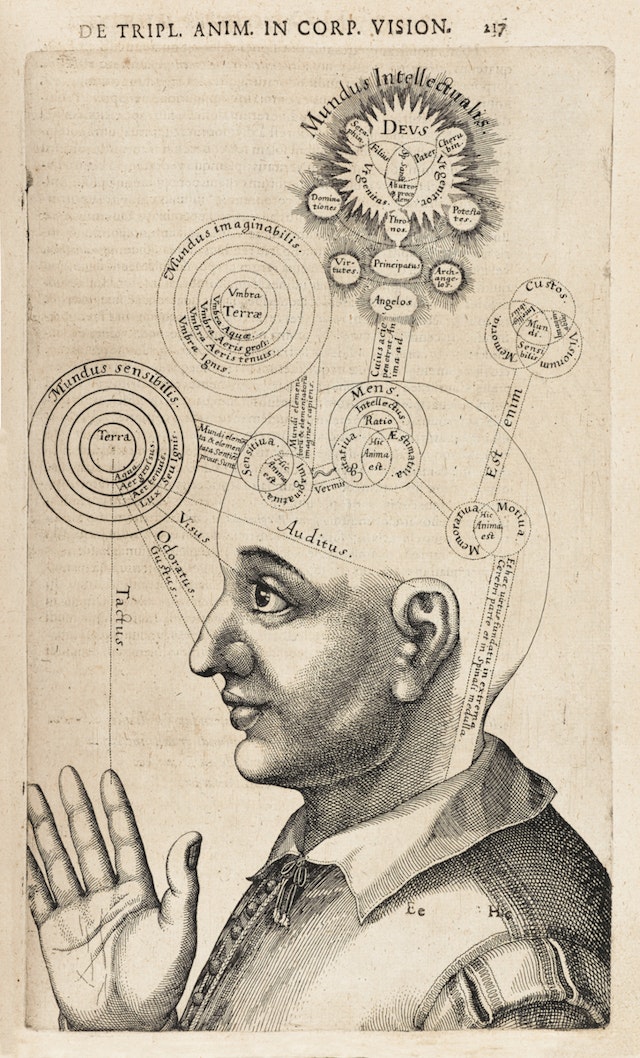 diagram-of-the-human-mind-product-the-public-domain-review