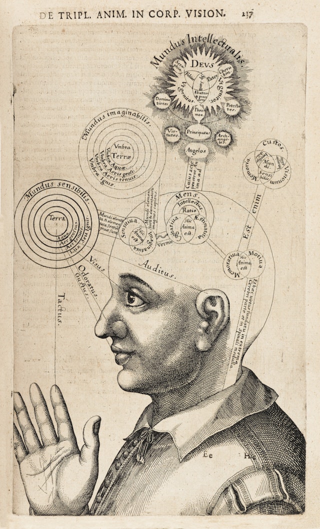 Diagram of the Human Mind