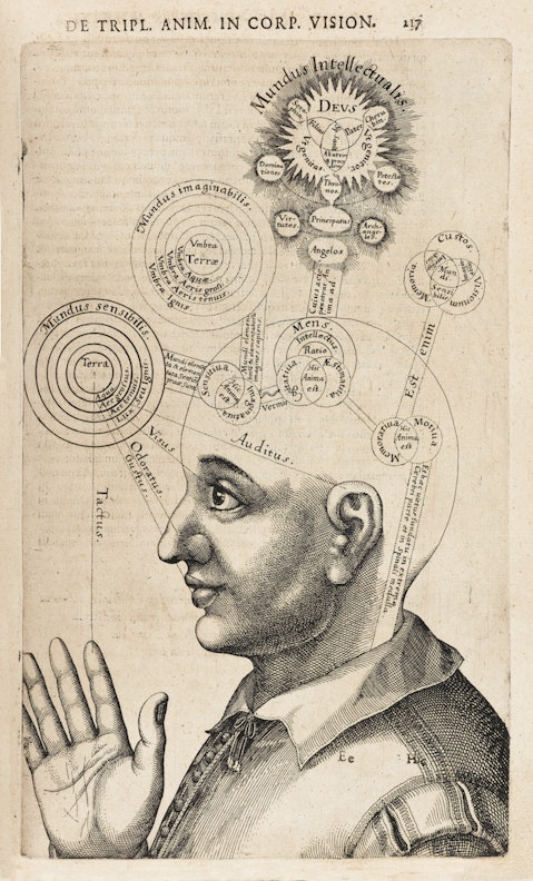 Diagram of the Human Mind