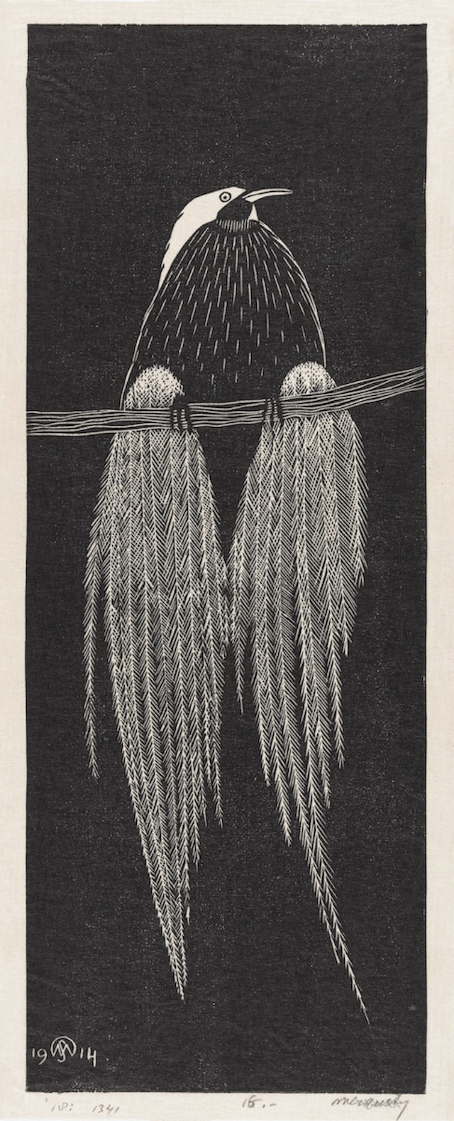 Bird of Paradise